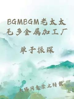 BGMBGM老太太毛多金属加工厂